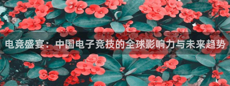 电竞盛宴：中国电子竞技的全球影响力与未来趋势