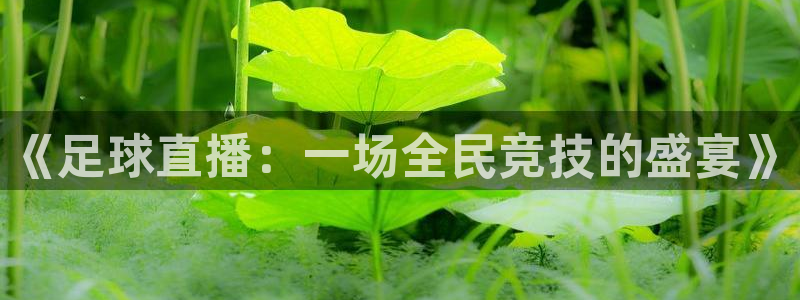 《足球直播：一场全民竞技的盛宴》