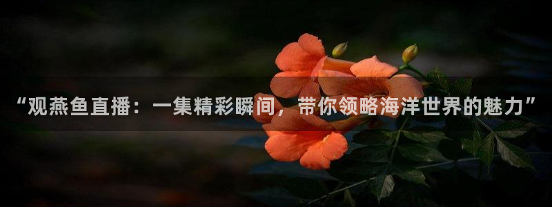 新闻图片