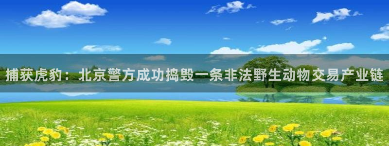 捕获虎豹：北京警方成功捣毁一条非法野生动物交易产业链