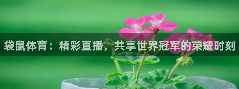 袋鼠体育：精彩直播，共享世界冠军的荣耀时刻
