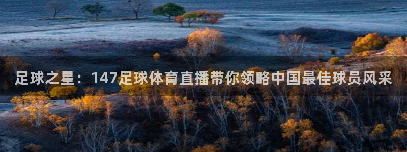 足球之星：147足球体育直播带你领略中国最佳球员风采