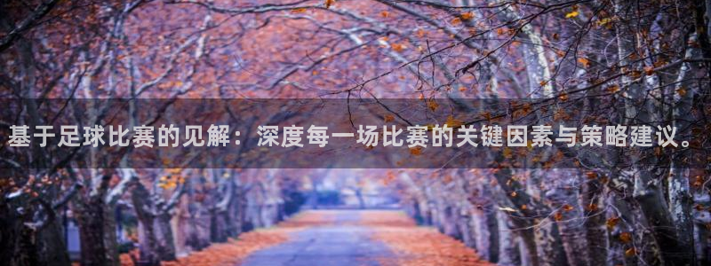 基于足球比赛的见解：深度每一场比赛的关键因素与策略建议。