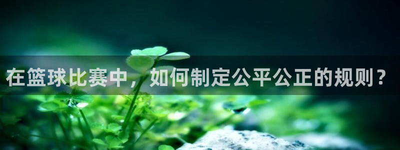 在篮球比赛中，如何制定公平公正的规则？
