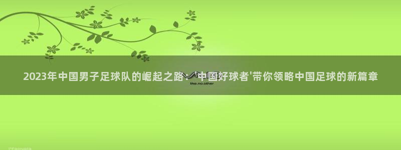 2023年中国男子足球队的崛起之路：\'中国好球者\'带你领略中国足球的新篇章