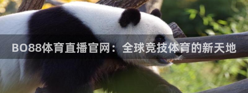 BO88体育直播官网：全球竞技体育的新天地