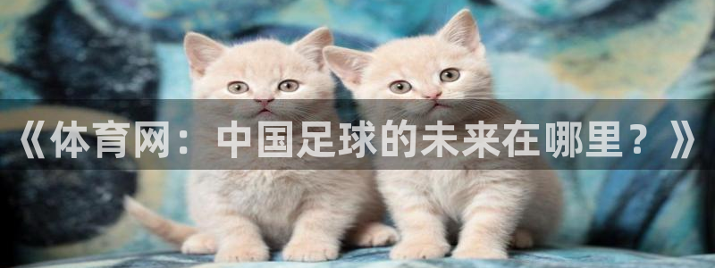 《体育网：中国足球的未来在哪里？》
