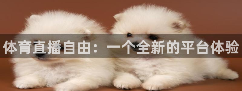 体育直播自由：一个全新的平台体验