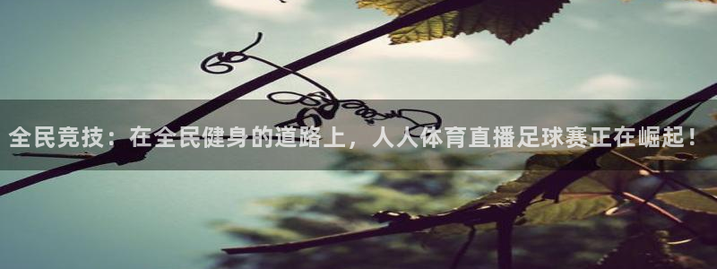 全民竞技：在全民健身的道路上，人人体育直播足球赛正在崛起！