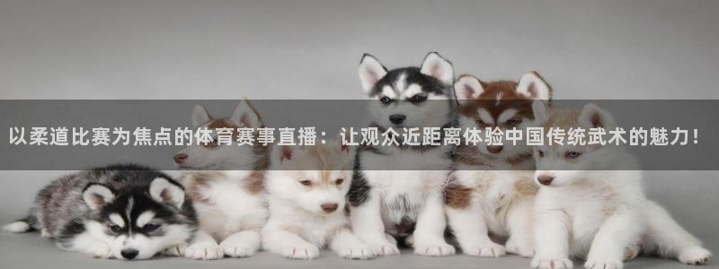 以柔道比赛为焦点的体育赛事直播：让观众近距离体验中国传统武术的魅力！