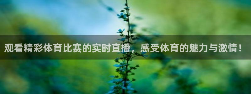 观看精彩体育比赛的实时直播，感受体育的魅力与激情！
