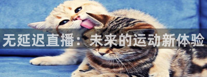 无延迟直播：未来的运动新体验