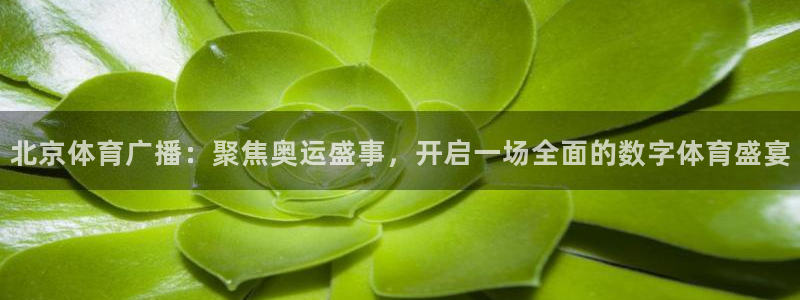 北京体育广播：聚焦奥运盛事，开启一场全面的数字体育盛宴