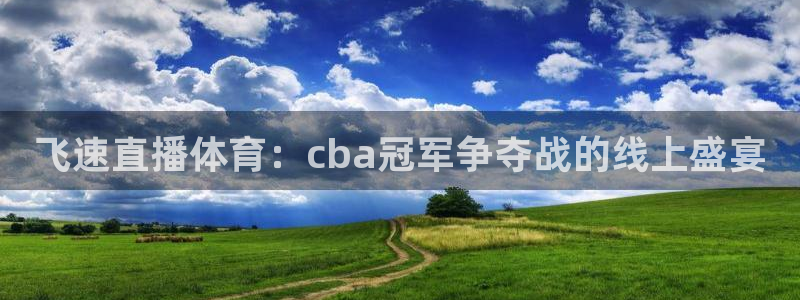 飞速直播体育：cba冠军争夺战的线上盛宴