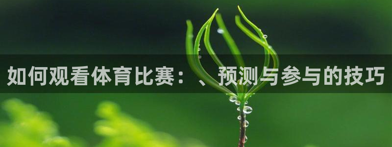 如何观看体育比赛：、预测与参与的技巧