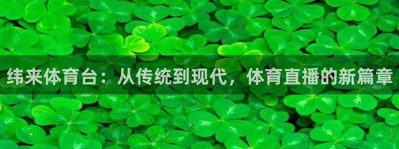 纬来体育台：从传统到现代，体育直播的新篇章