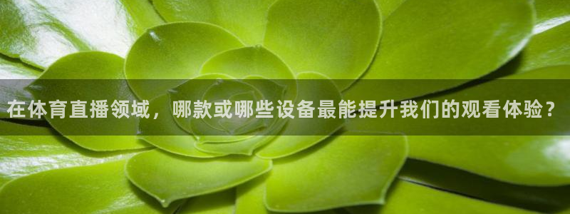 在体育直播领域，哪款或哪些设备最能提升我们的观看体验？