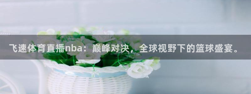 飞速体育直播nba：巅峰对决，全球视野下的篮球盛宴。