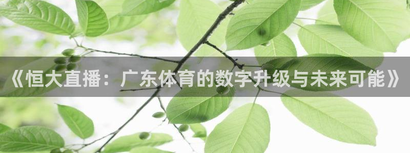 《恒大直播：广东体育的数字升级与未来可能》