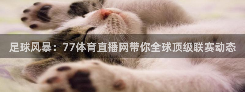 足球风暴：77体育直播网带你全球顶级联赛动态