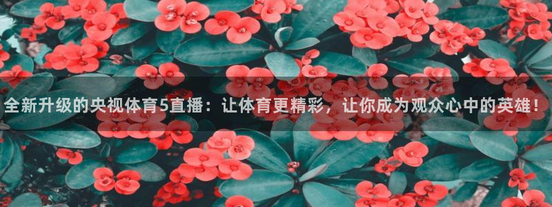 全新升级的央视体育5直播：让体育更精彩，让你成为观众心中的英雄！