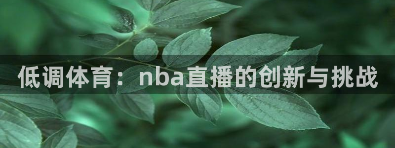 低调体育：nba直播的创新与挑战