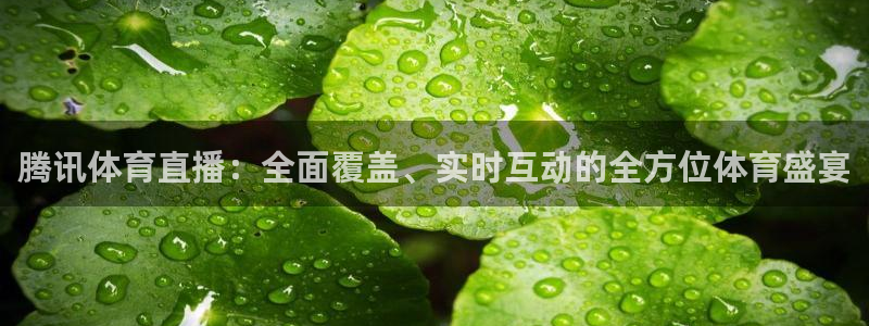 腾讯体育直播：全面覆盖、实时互动的全方位体育盛宴