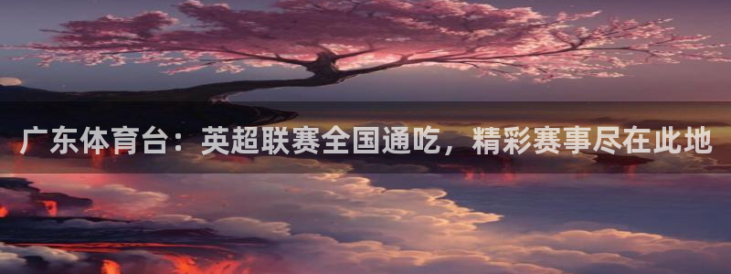 广东体育台：英超联赛全国通吃，精彩赛事尽在此地