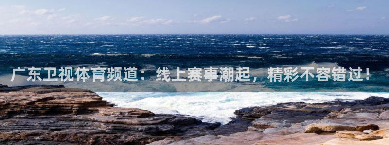 广东卫视体育频道：线上赛事潮起，精彩不容错过！