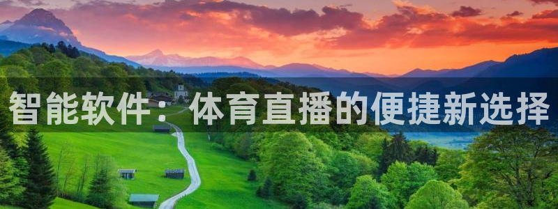 智能软件：体育直播的便捷新选择
