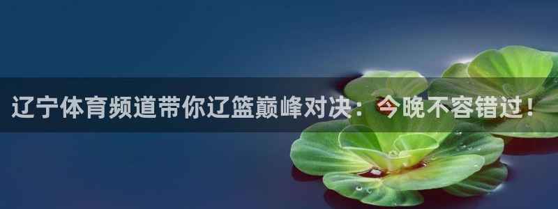 辽宁体育频道带你辽篮巅峰对决：今晚不容错过！