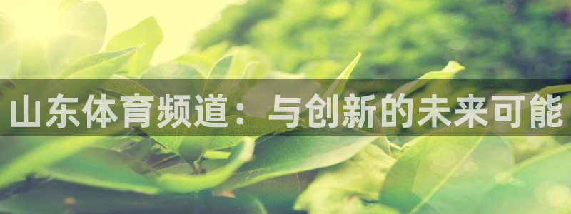 山东体育频道：与创新的未来可能
