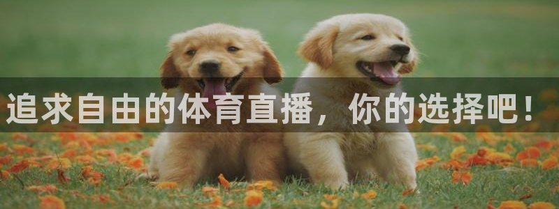 追求自由的体育直播，你的选择吧！