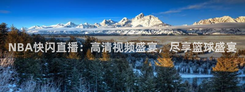 NBA快闪直播：高清视频盛宴，尽享篮球盛宴