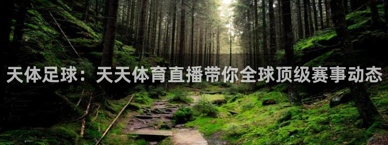 天体足球：天天体育直播带你全球顶级赛事动态