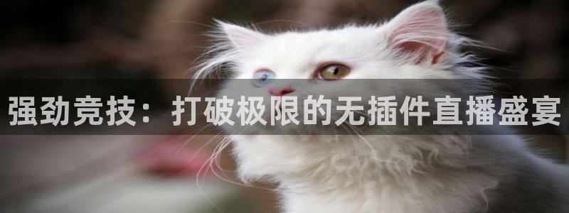 强劲竞技：打破极限的无插件直播盛宴