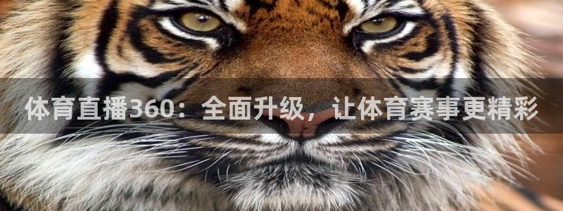 体育直播360：全面升级，让体育赛事更精彩