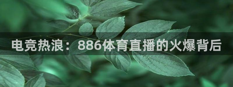 电竞热浪：886体育直播的火爆背后