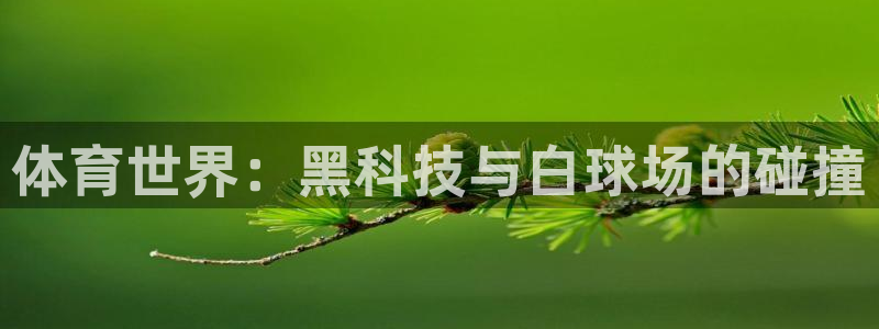 体育世界：黑科技与白球场的碰撞