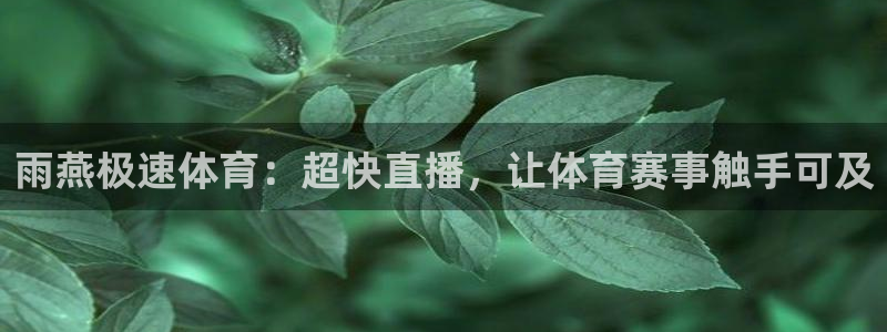 雨燕极速体育：超快直播，让体育赛事触手可及