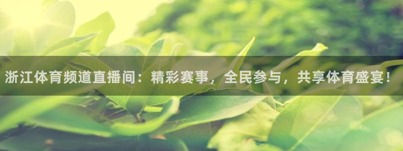 浙江体育频道直播间：精彩赛事，全民参与，共享体育盛宴！