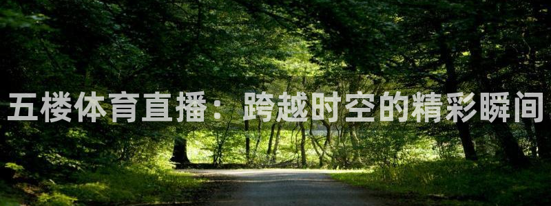 五楼体育直播：跨越时空的精彩瞬间