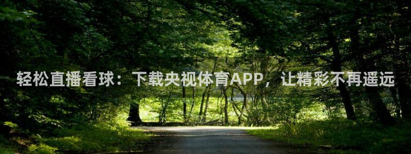 轻松直播看球：下载央视体育APP，让精彩不再遥远