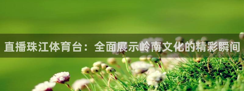 直播珠江体育台：全面展示岭南文化的精彩瞬间