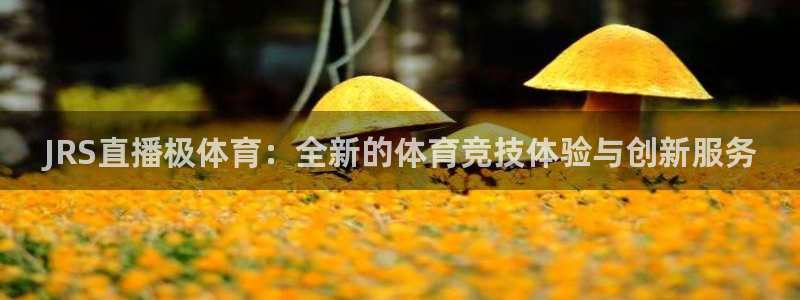 JRS直播极体育：全新的体育竞技体验与创新服务