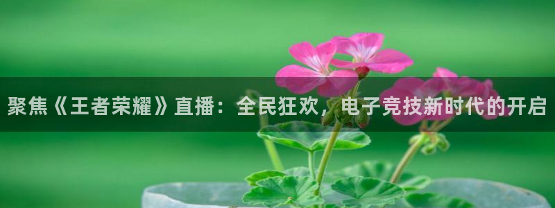 聚焦《王者荣耀》直播：全民狂欢，电子竞技新时代的开启