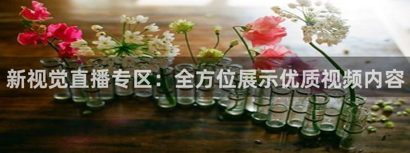 新视觉直播专区：全方位展示优质视频内容