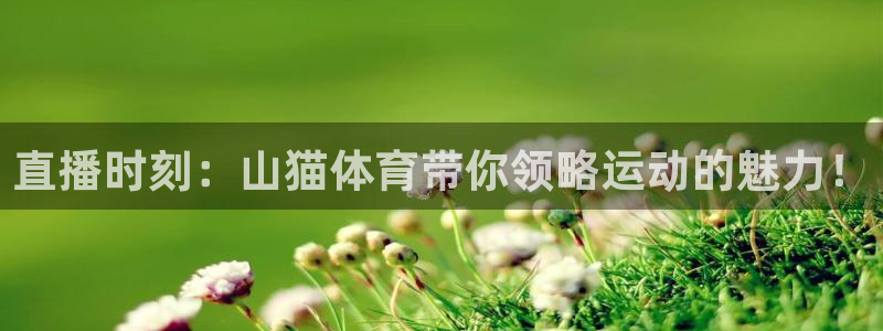 直播时刻：山猫体育带你领略运动的魅力！