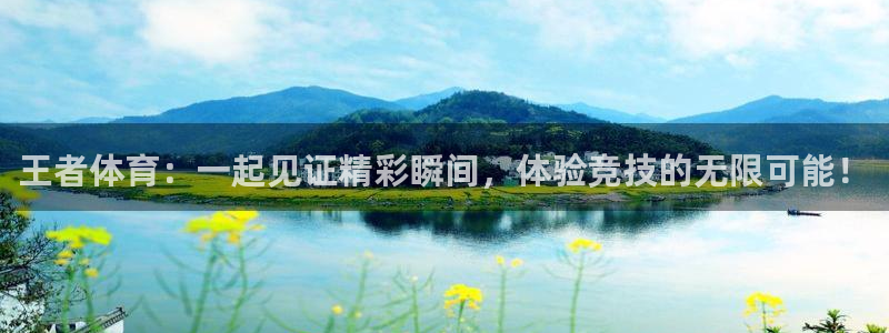 王者体育：一起见证精彩瞬间，体验竞技的无限可能！